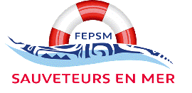 logo-FEPSM